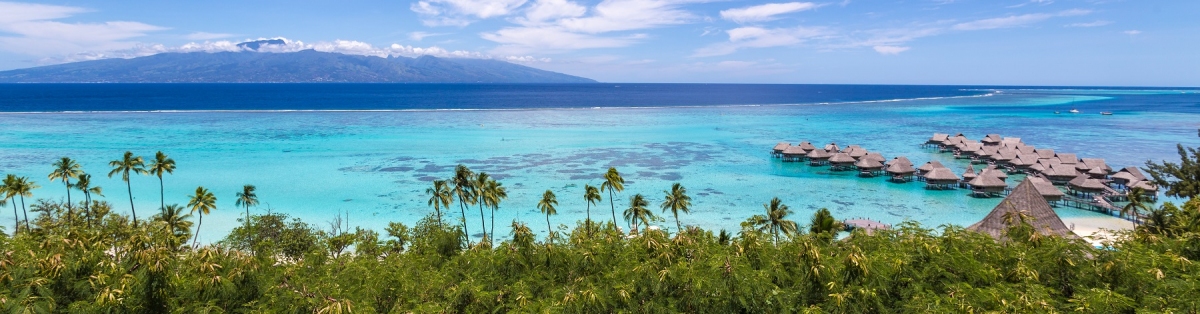 Moorea Panorama über die Bucht mit Overwater Villen (AlexQ / stock.adobe.com)  lizenziertes Stockfoto 
Informazioni sulla licenza disponibili sotto 'Prova delle fonti di immagine'
